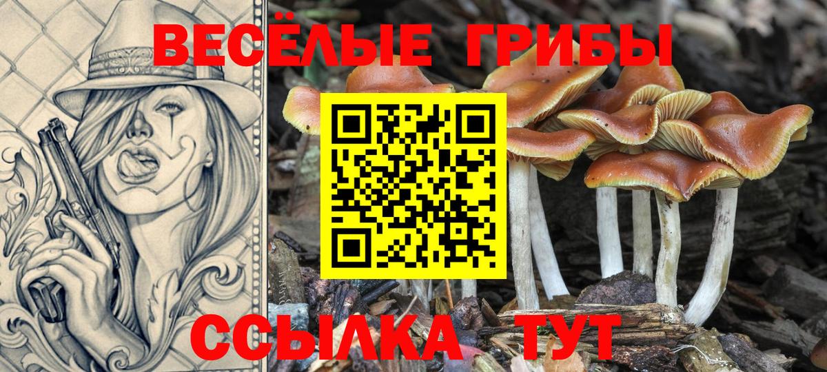 Орск  Псилоцибиновые грибы Psilocybine cubensis  Вход с VPN 