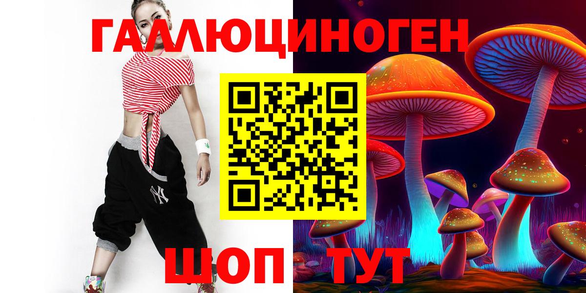 Псилоцибиновые грибы Psilocybe Орск